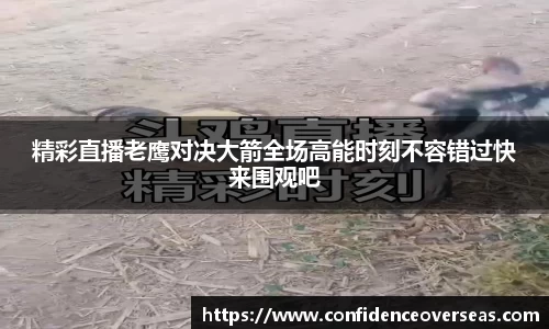 j9.com网址
